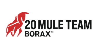 BORAX EUROPE LIMITED logo