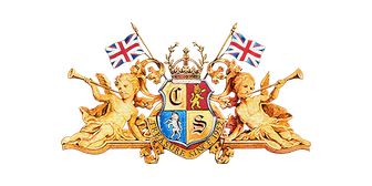CHILDRENSALON LIMITED logo