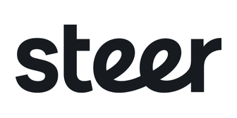 STEER DAVIES & GLEAVE LIMITED logo